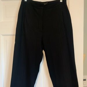 Aritzia Babaton slacks